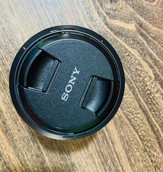 Sony 18-105mm F/4 G OSS Lens 7