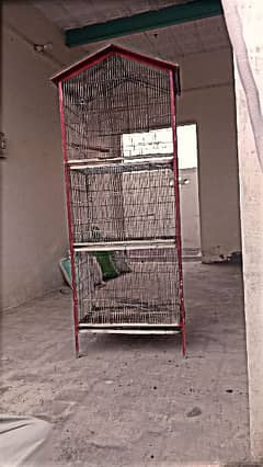 Birds cage