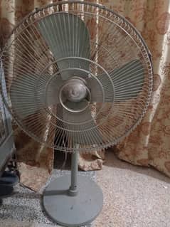 Tower Fans