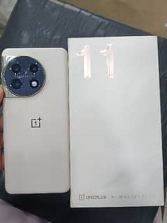 Oneplus11