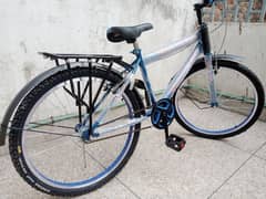 Phoenix Bicycle without Gears 26" (wholesale)