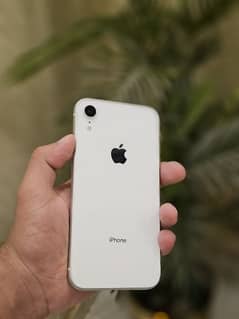 iphone xr pta approve