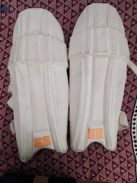 cricket hard ball ket with HS 300 original hard bat 1