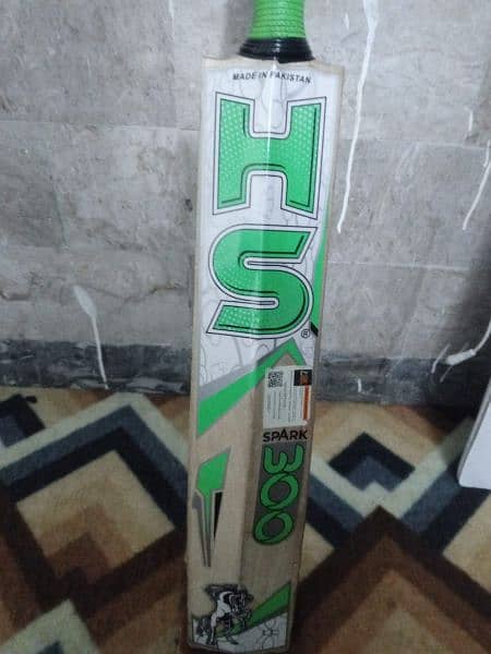 cricket hard ball ket with HS 300 original hard bat 14