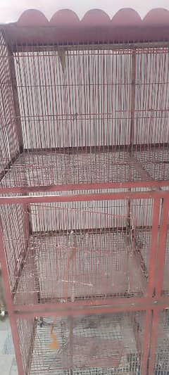 5 portion cage ,moti wire ka ha , Alexander parrots,Grey parrots