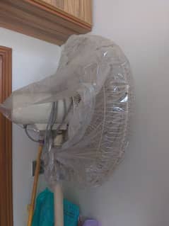 Standard Pedestal Fan for sale