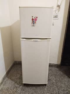 Refrigerators & Freezers / Refrigerators