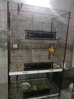 Birds cage for sale 0