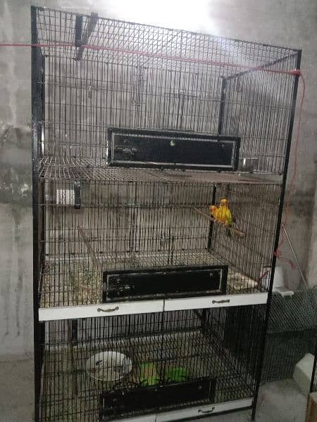 Birds cage for sale 0