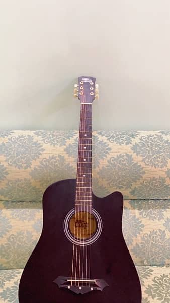 acoustic guitar 1