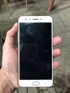 Oppo F3 Plus (0319 4369048)