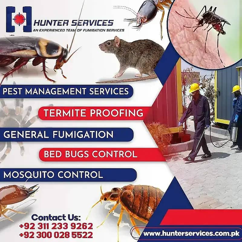 Pest Control/Fumigation Services /Dengue/Termite/General Fumigation 2