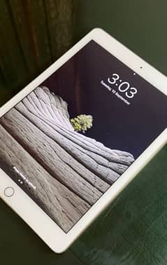 iPad air 2