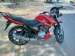 Yamaha ybr125 for sale