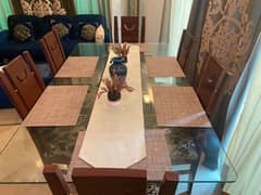 Dinning table (6seater)