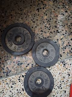 weight plates, barbells, and dumbells