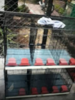 Cage for sale 0