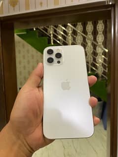 i phone 12 pro max pta approved