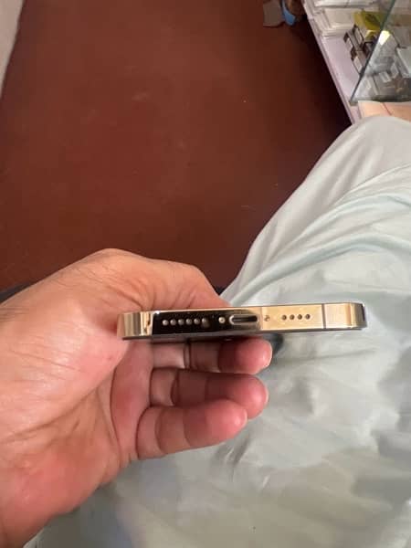 12 pro max gold 128gb factory 2