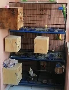 Cage for birds