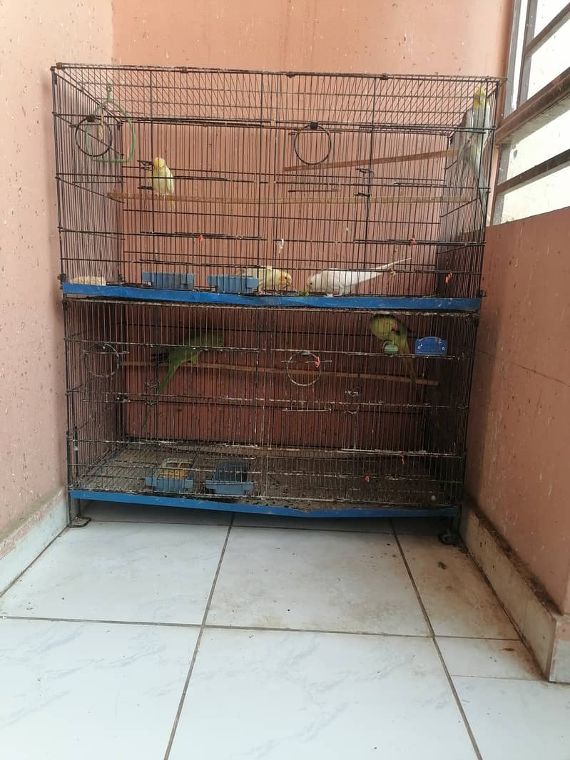 Cage for birds 1