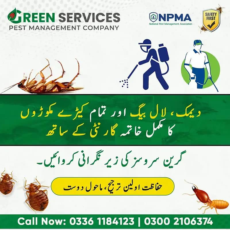 Bed Bugs | Termite | Cockroach | Pest Control | Fumigation in karachi 1