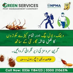 Pest control Fumigation Services in Karachi Deemak control