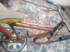 cycle for sell. . read description