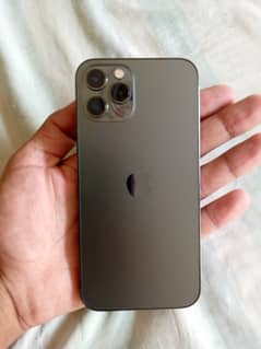 iPhone 12 pro [256 GB]