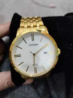 citizen mens wath