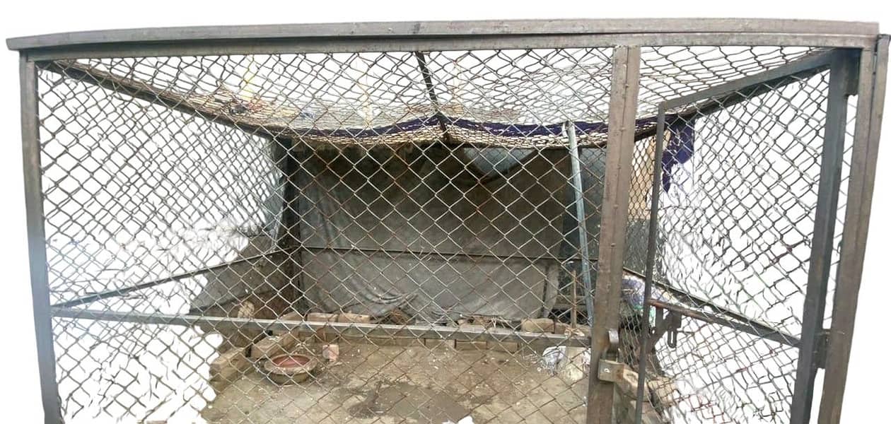 Animal Cage 1