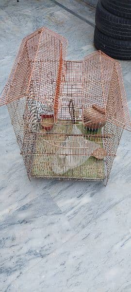 cages for sale in good condition 7