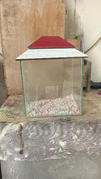 aquarium 10/10 condition — photo 2