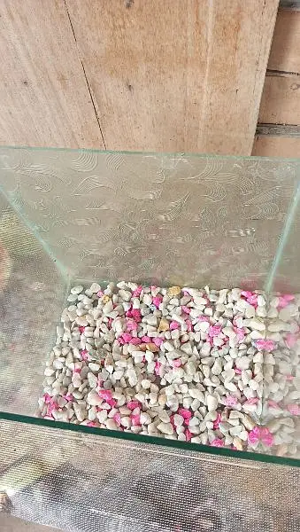 aquarium 10/10 condition — photo 3