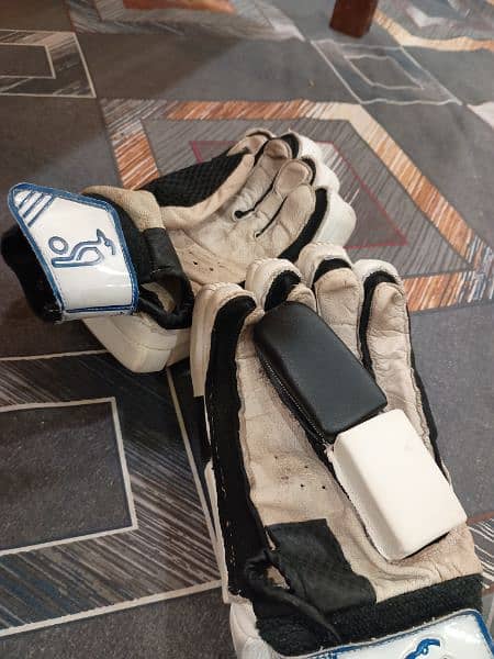 English Willow SG Bat and Kookaburra Gloves 5