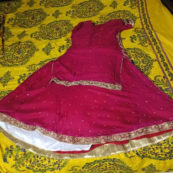 Birdal Lehnga With Dupada And Clutch 4