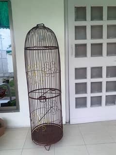 Bird parrots cage