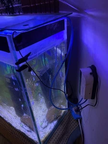 Big fish tank with fished and everything included for sale 2