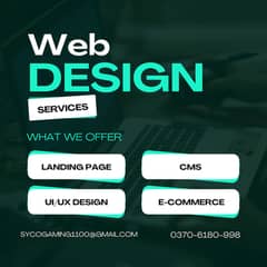 I AM A PROFESSIONAL WEB DESIGNER & DEVELOPER