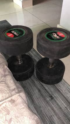 SNK FITNESS Dumbbell 0