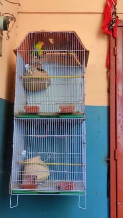 cage and fisher pair