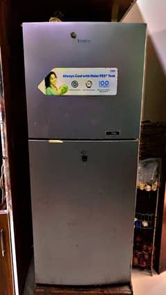 Haier Refrigerator Fridge