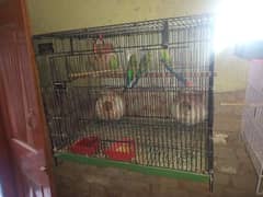 cage full ok 2800 03077004931