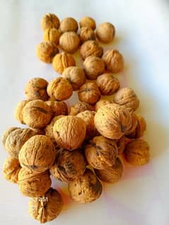 Walnut stonchuli dry fruits (skardu)