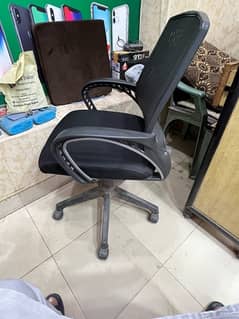 boss back care chair