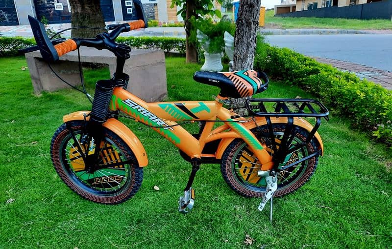 Smart bicycle 1