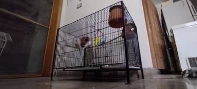 High Quality Bird Cage