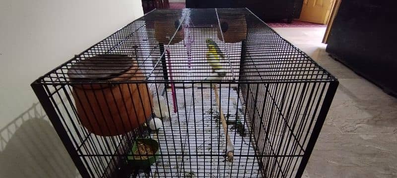 High Quality Bird Cage. 4