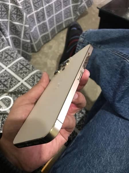 Iphone 13 Pro Max (128gb) 3