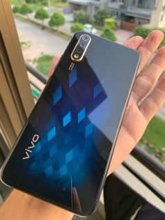 vivo